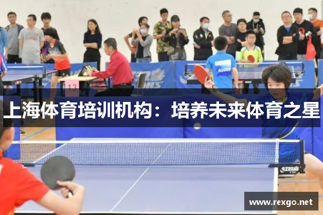 上海体育培训机构：培养未来体育之星